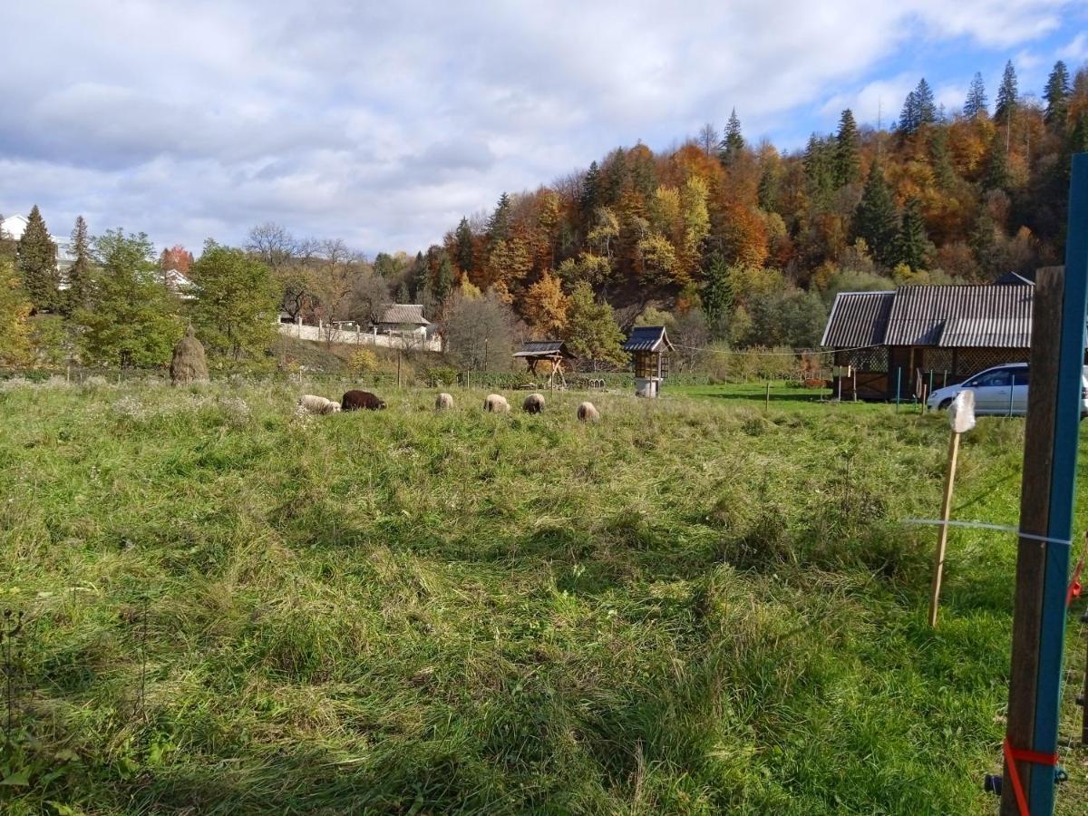 Садиба Федорчуків Гірська Хатина Sheshory Bagian luar foto