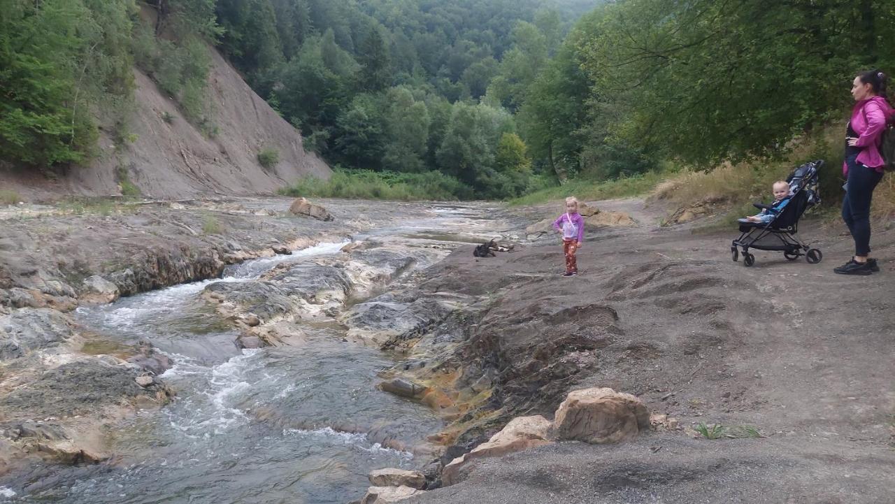Садиба Федорчуків Гірська Хатина Sheshory Bagian luar foto